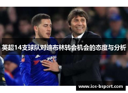 英超14支球队对迪布林转会机会的态度与分析