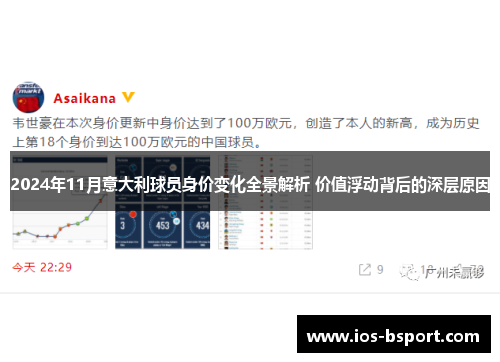 2024年11月意大利球员身价变化全景解析 价值浮动背后的深层原因