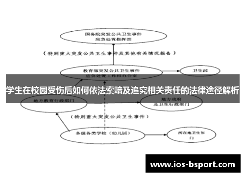 学生在校园受伤后如何依法索赔及追究相关责任的法律途径解析