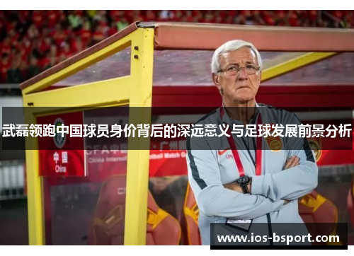 武磊领跑中国球员身价背后的深远意义与足球发展前景分析