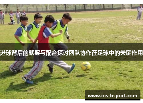 进球背后的默契与配合探讨团队协作在足球中的关键作用