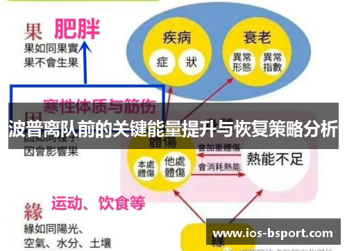 波普离队前的关键能量提升与恢复策略分析