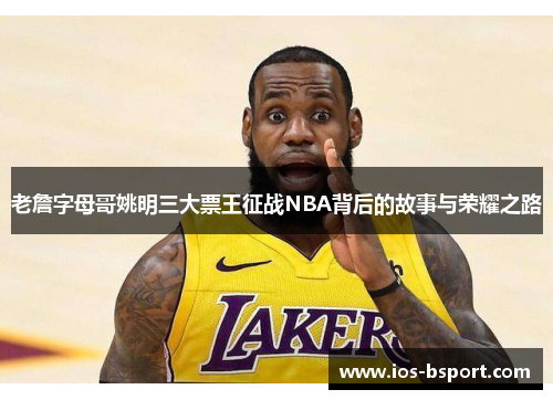 老詹字母哥姚明三大票王征战NBA背后的故事与荣耀之路