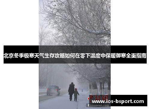 北京冬季极寒天气生存攻略如何在零下温度中保暖御寒全面指南