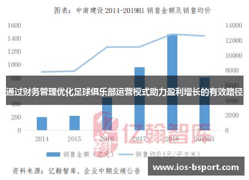 通过财务管理优化足球俱乐部运营模式助力盈利增长的有效路径