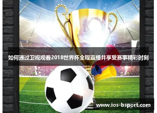 如何通过卫视观看2018世界杯全程直播并享受赛事精彩时刻