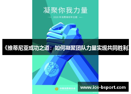 《维蒂尼亚成功之道:如何凝聚团队力量实现共同胜利》 《维蒂尼亚成功之道:如何凝聚团队力量实现共同胜利》