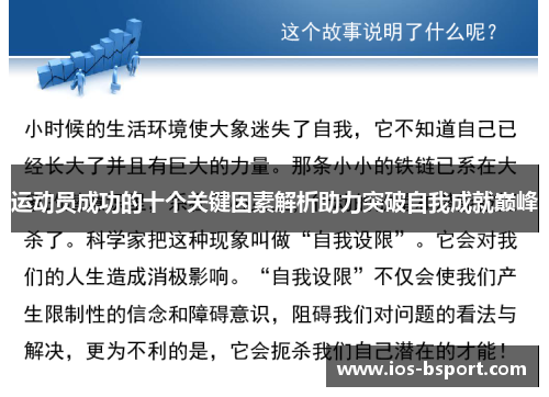 运动员成功的十个关键因素解析助力突破自我成就巅峰